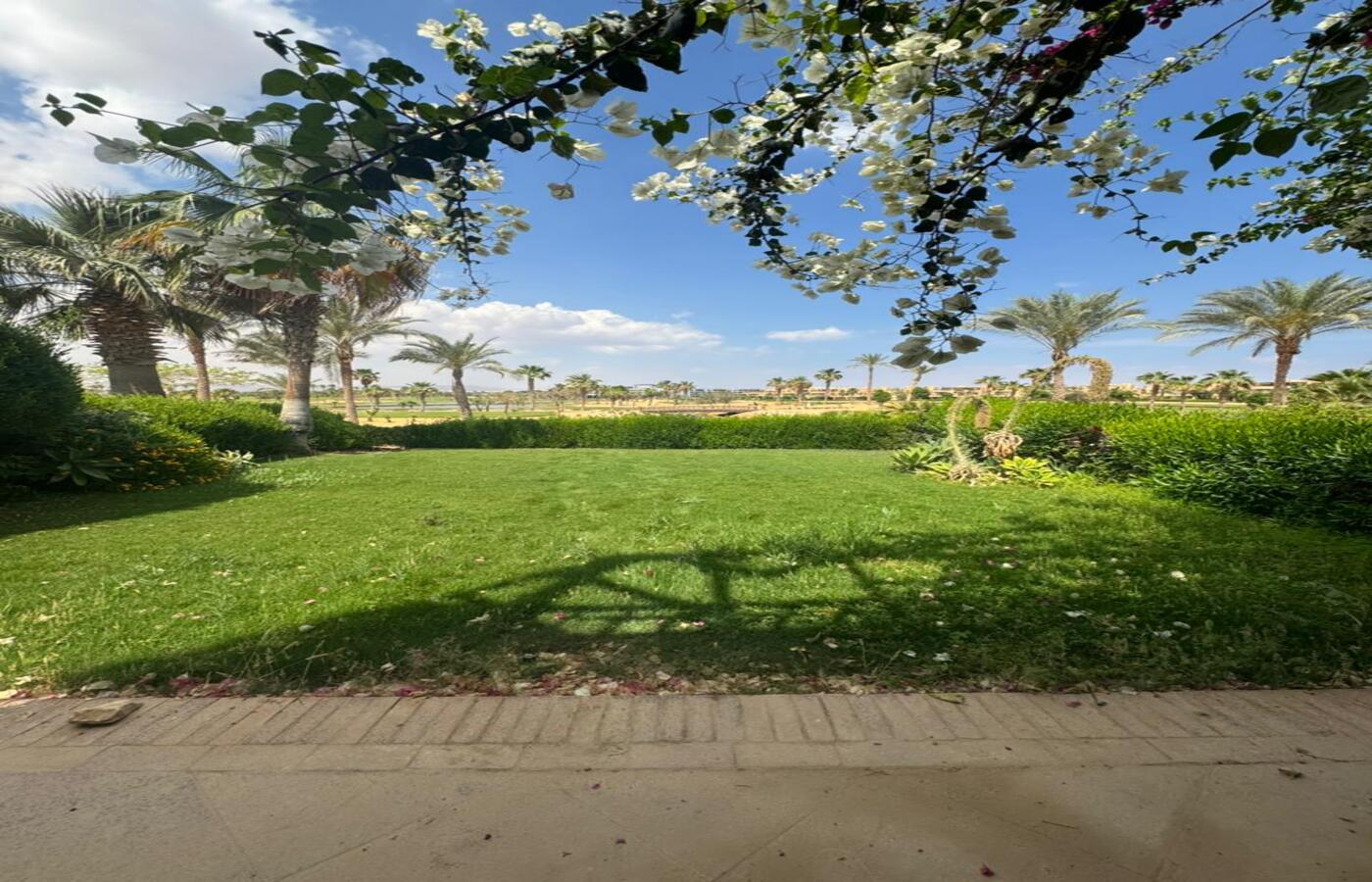 صورة العقار 3