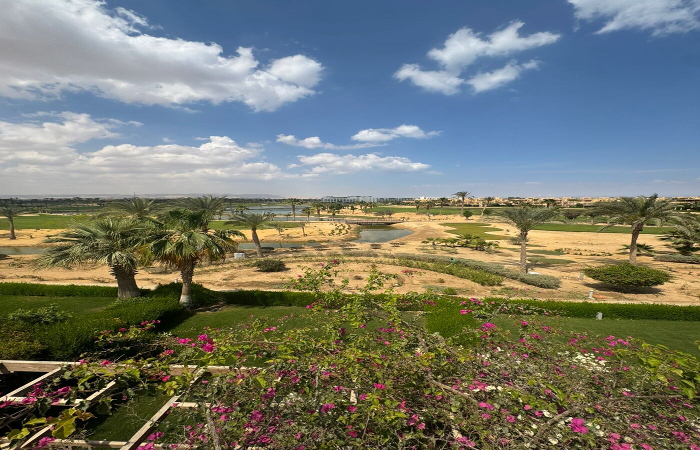 صورة مصغرة 10