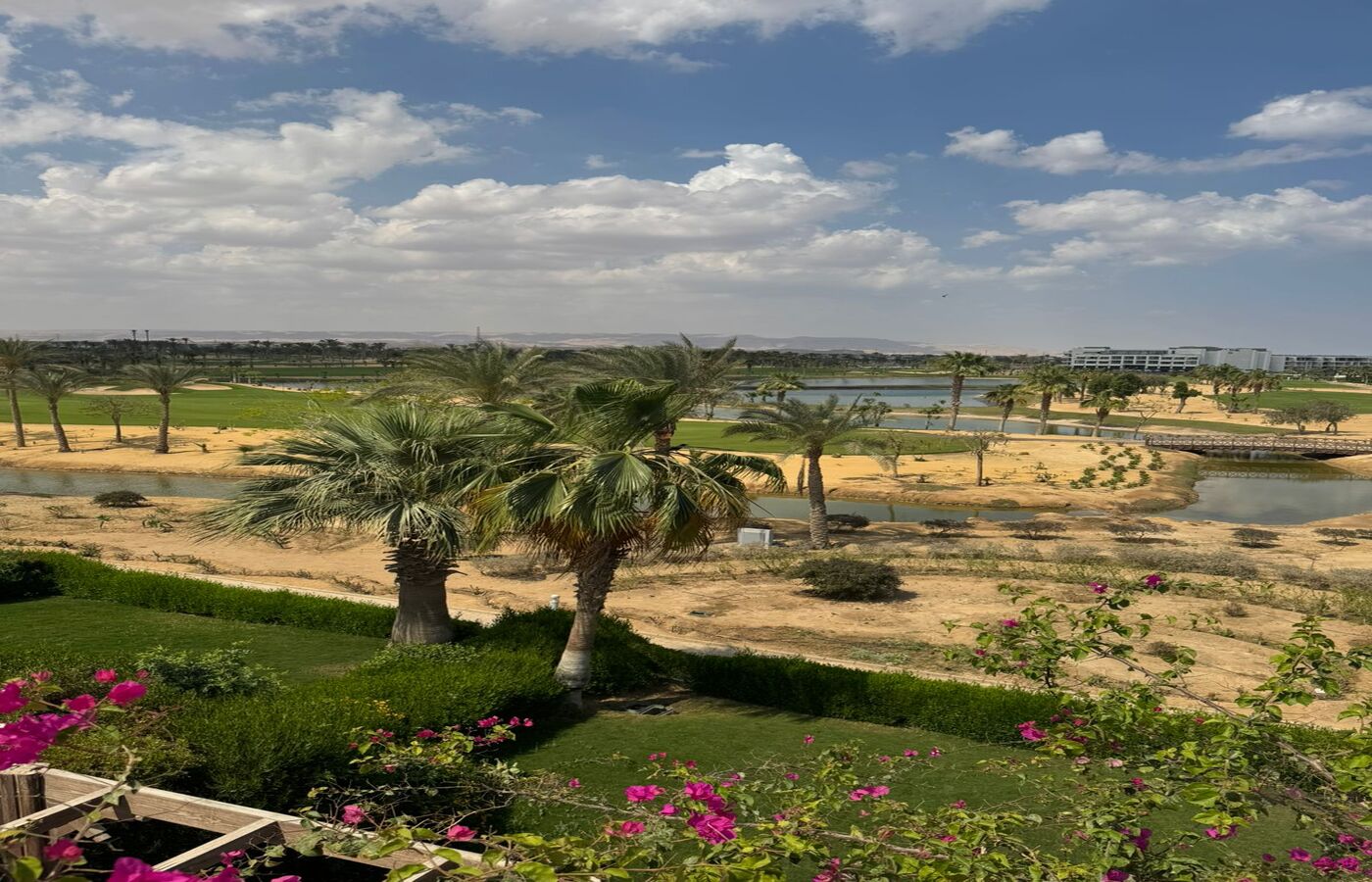 صورة مصغرة 11