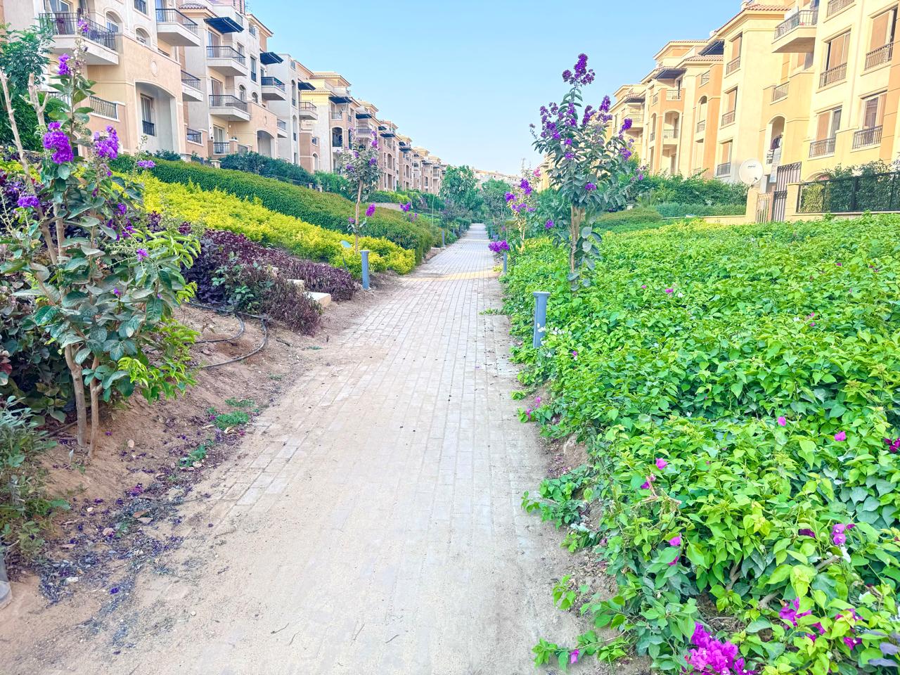 صورة العقار 3