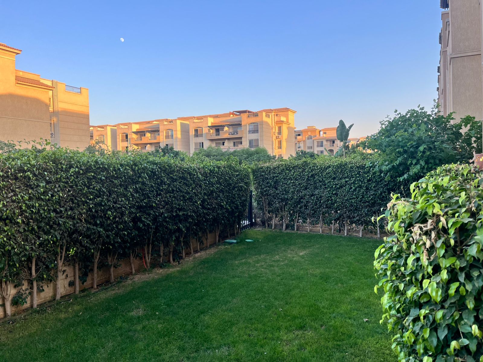 صورة العقار 2