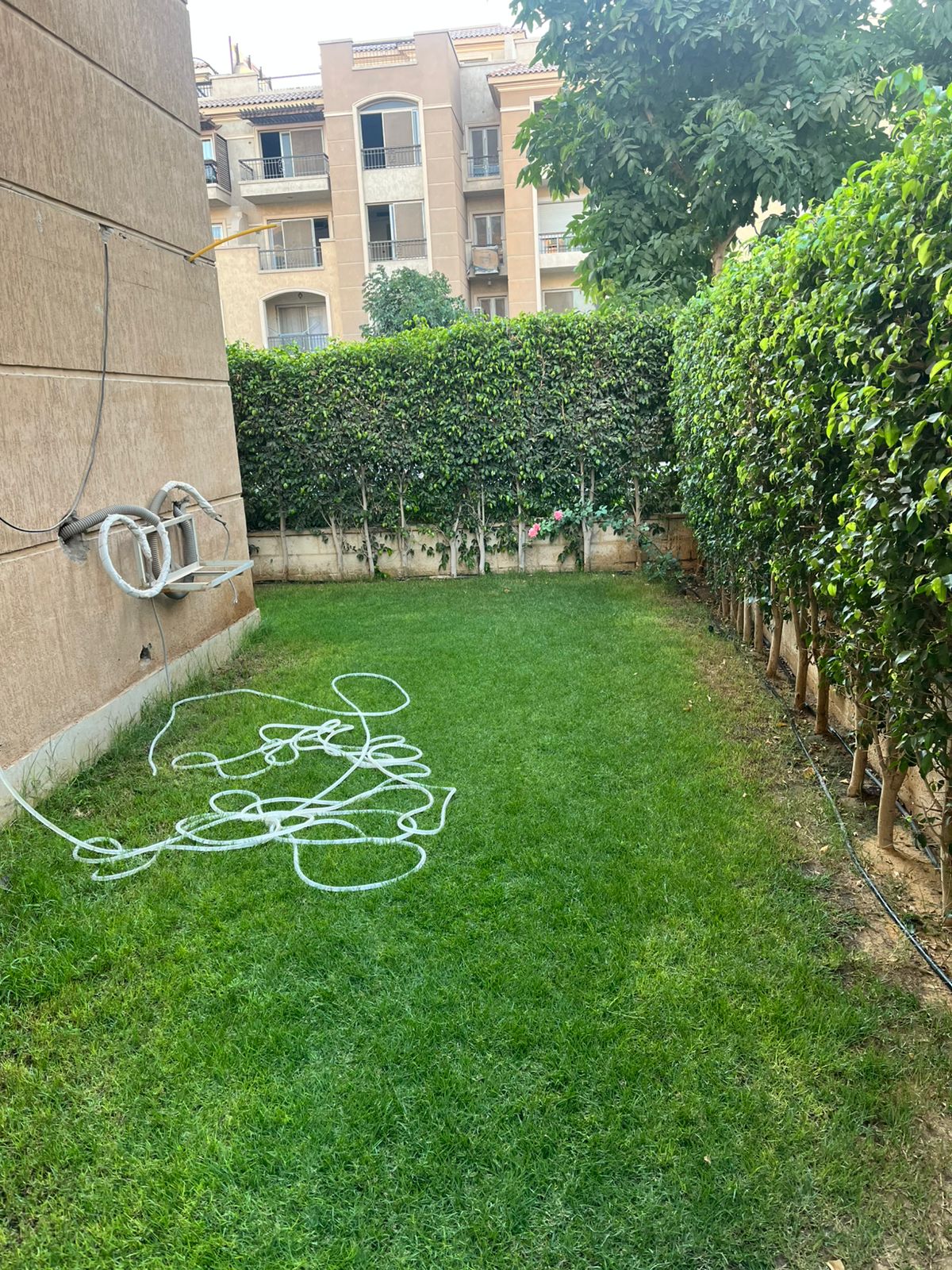 صورة العقار 3