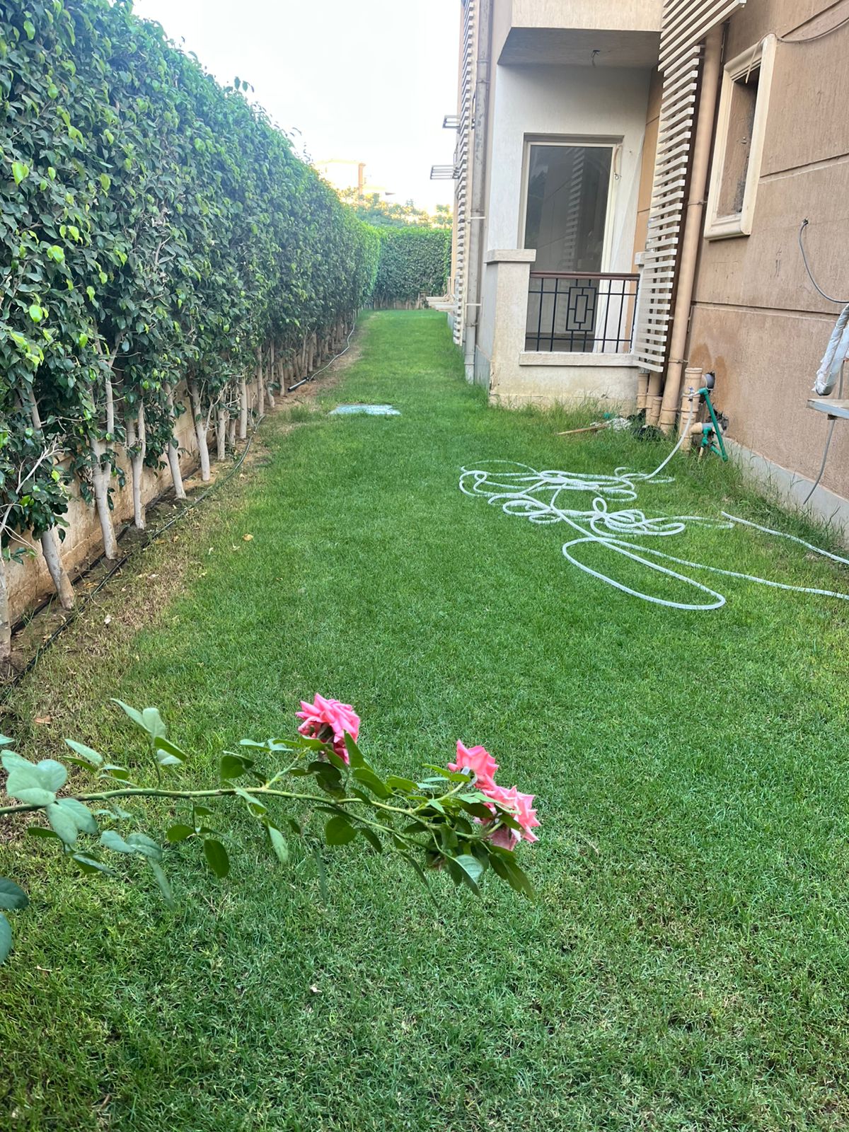 صورة مصغرة 12