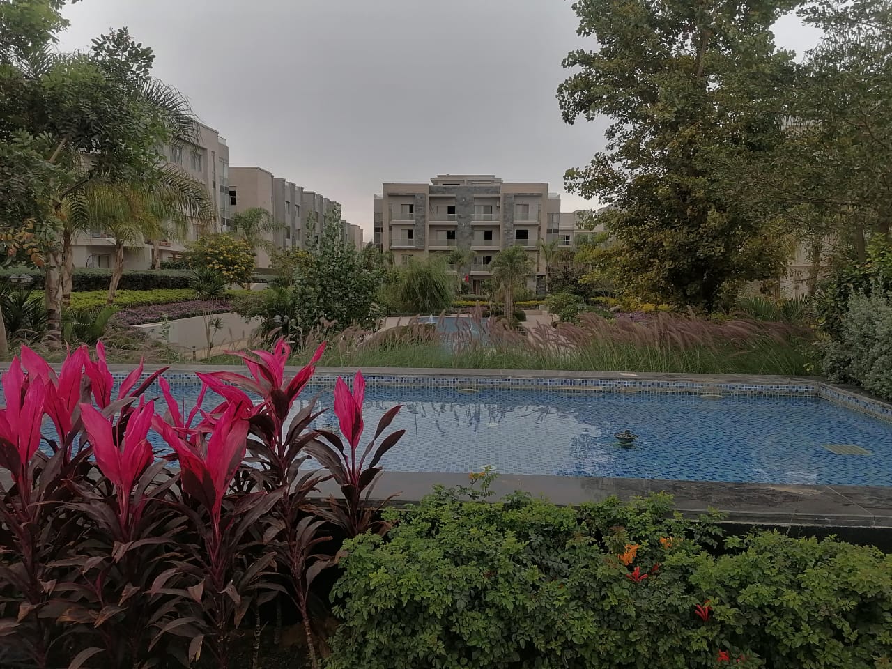 صورة مصغرة 5