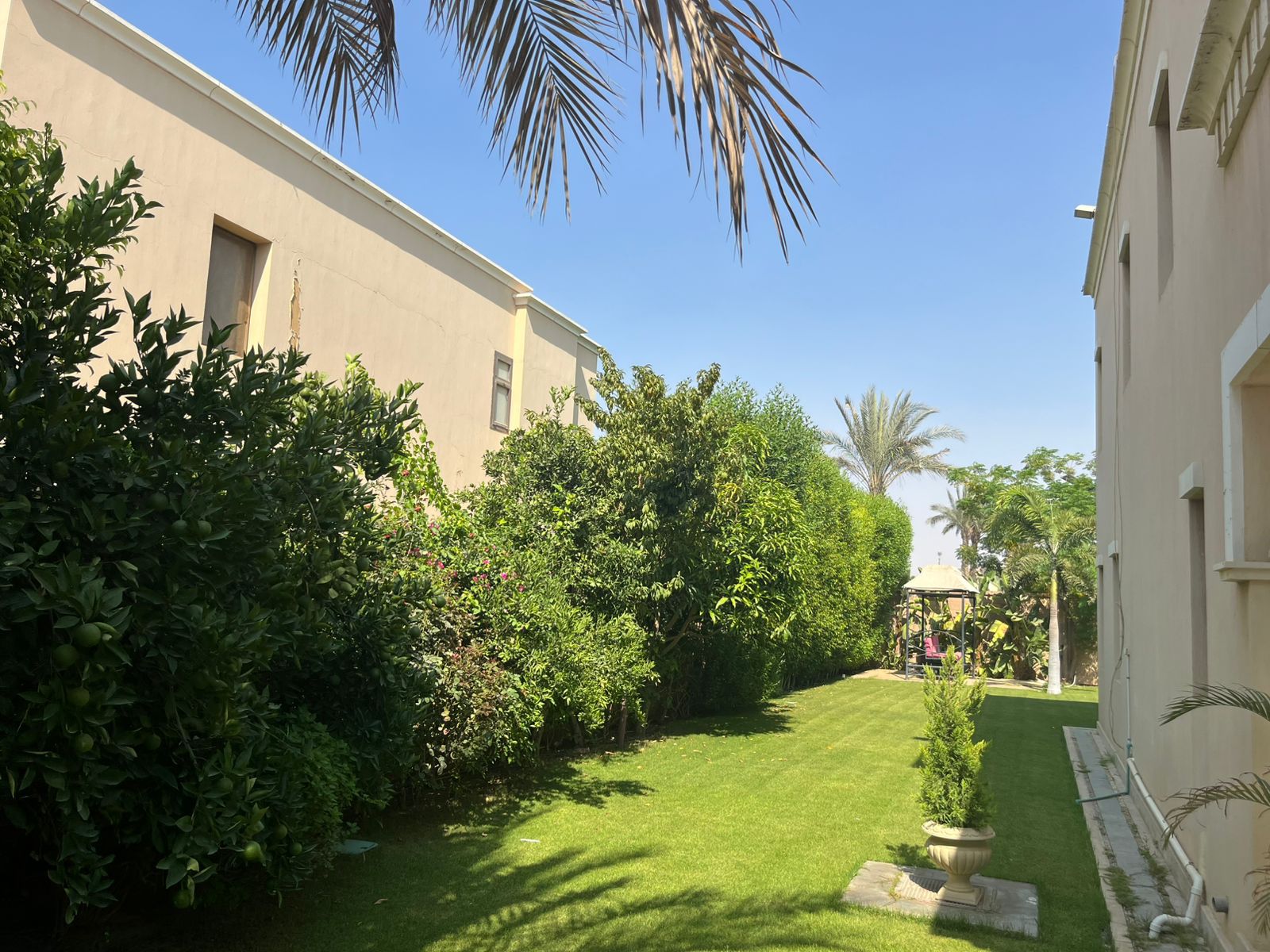 صورة العقار 3