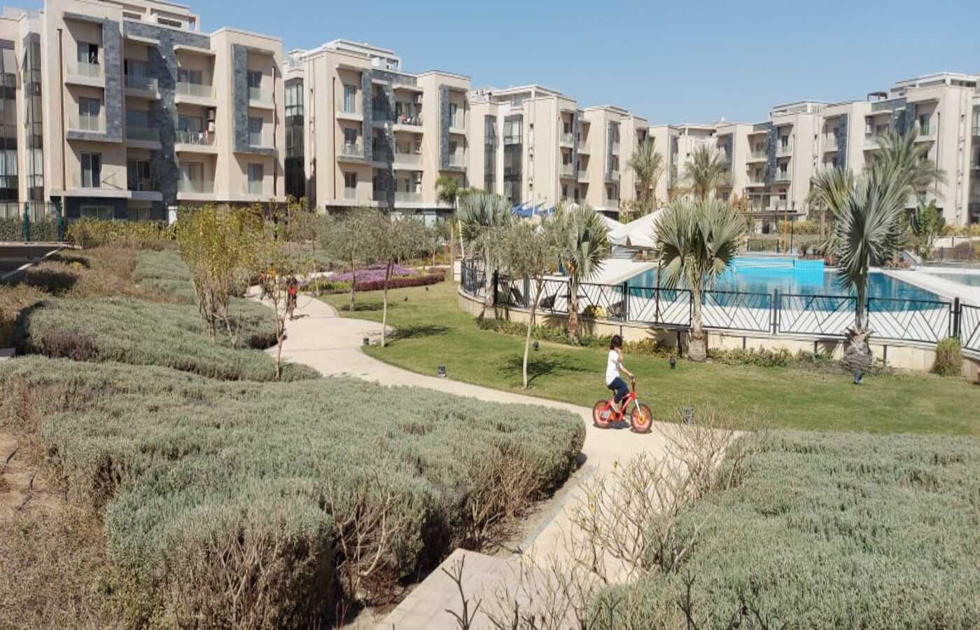 صورة مصغرة 4