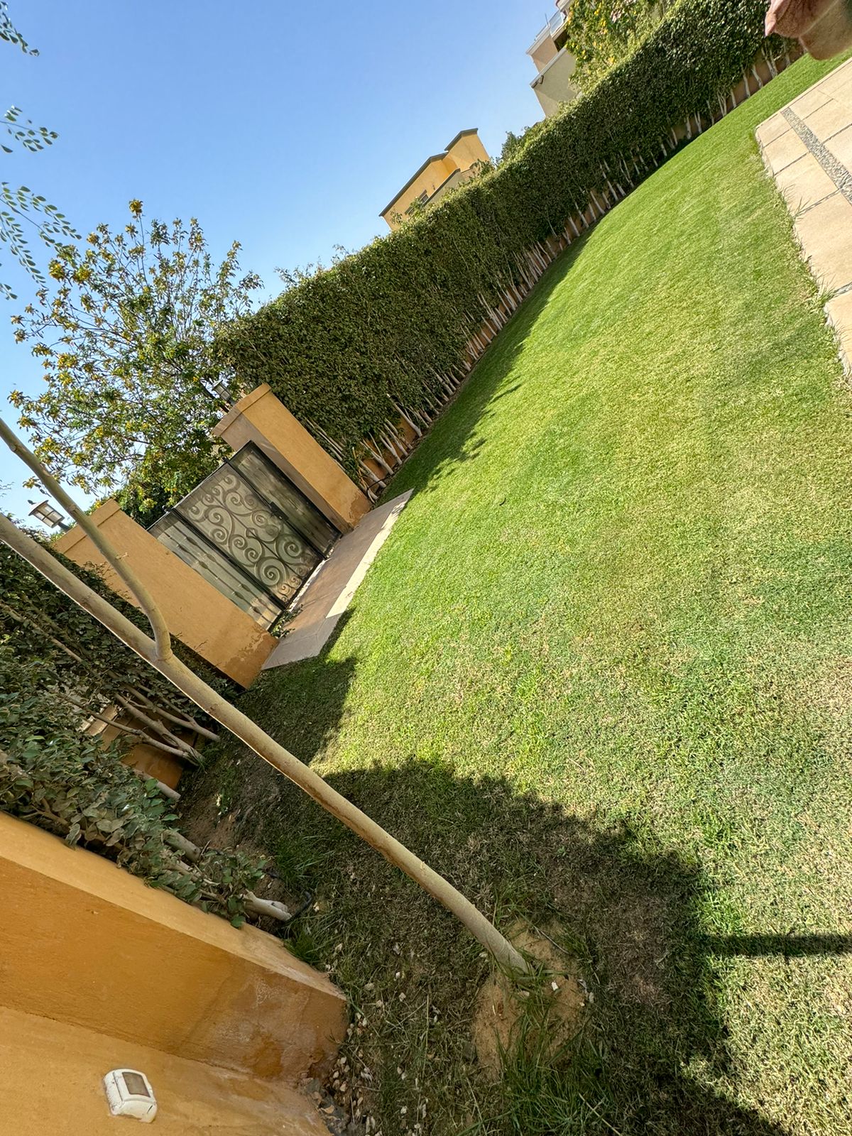 صورة مصغرة 17