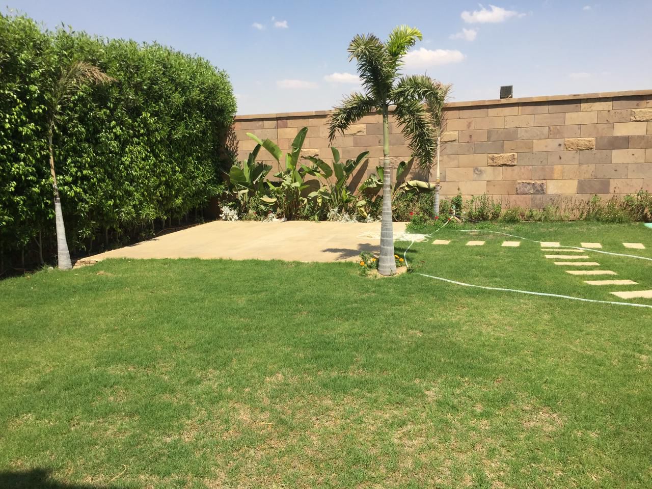 صورة مصغرة 11