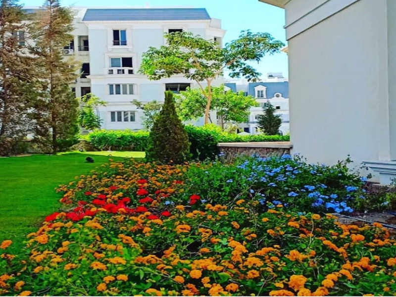 صورة مصغرة 9