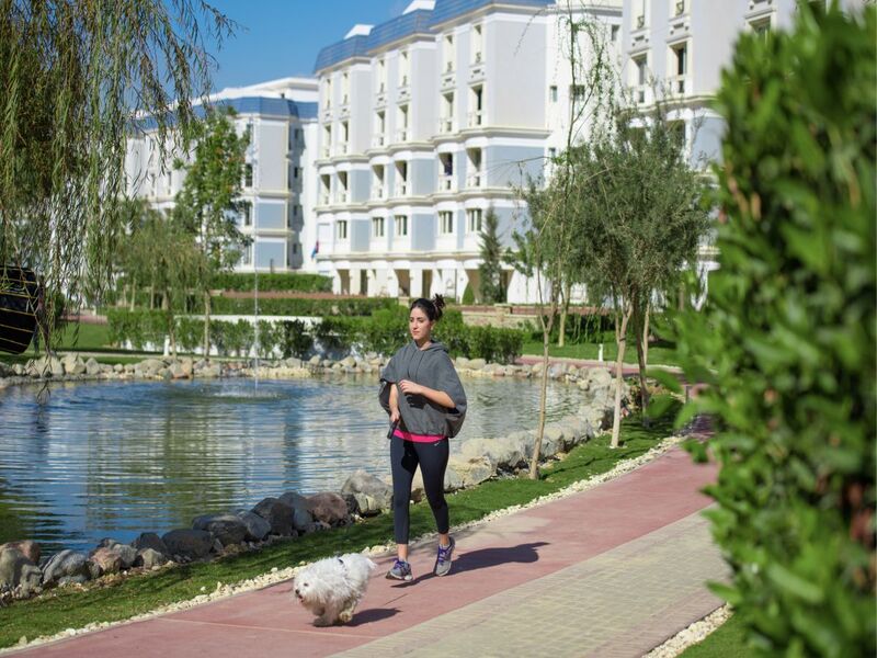 صورة مصغرة 7