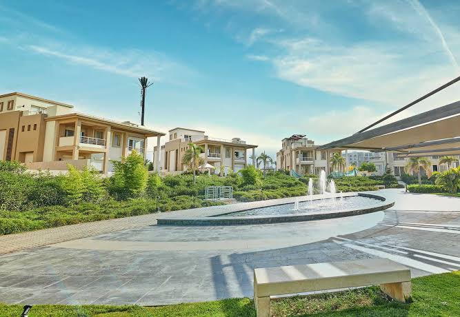 صورة مصغرة 8