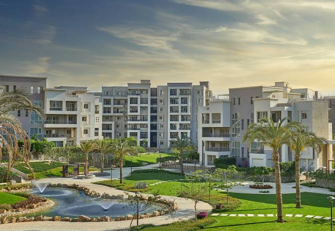 صورة مصغرة 6