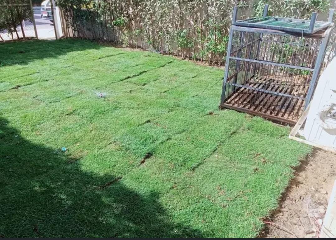 صورة العقار 3