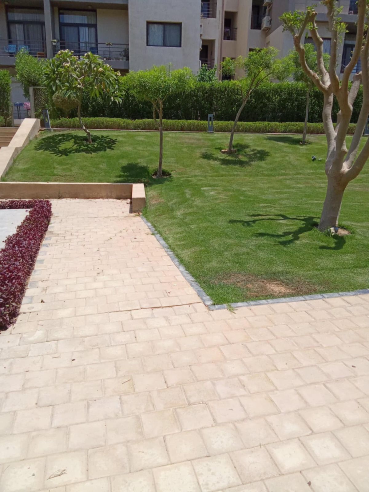 صورة العقار 3