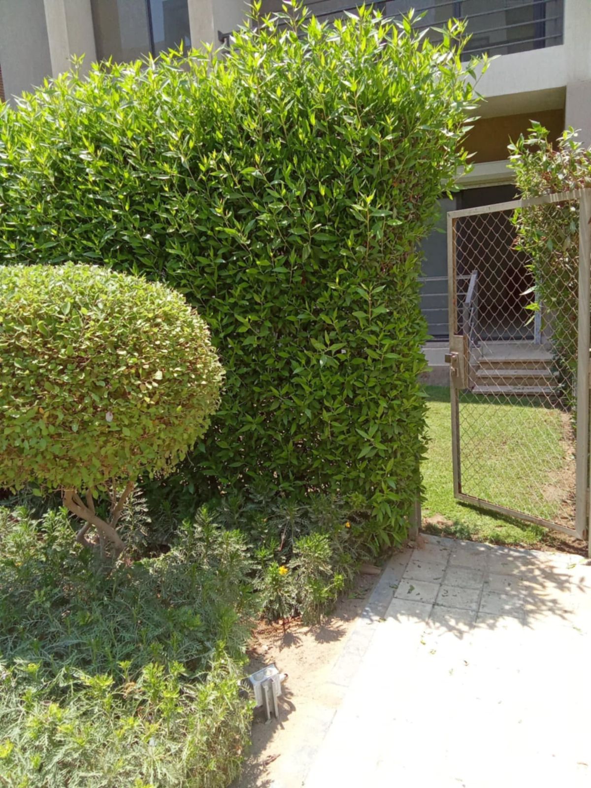 صورة مصغرة 5