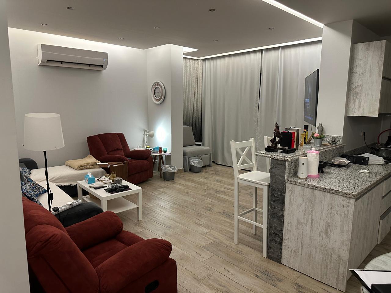 Best Price Furnished Apartment in Lake View