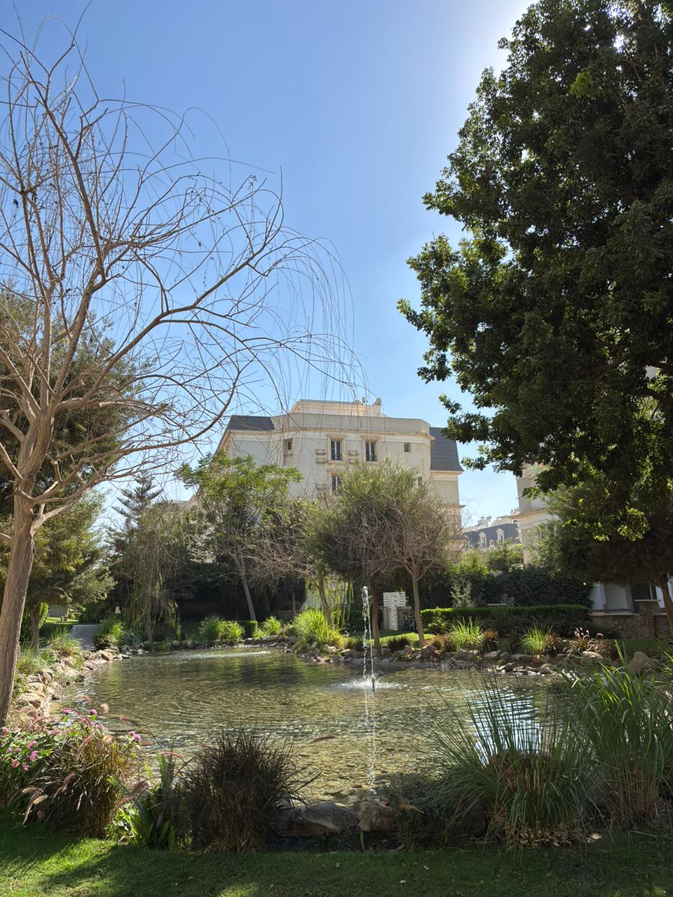 صورة العقار 2