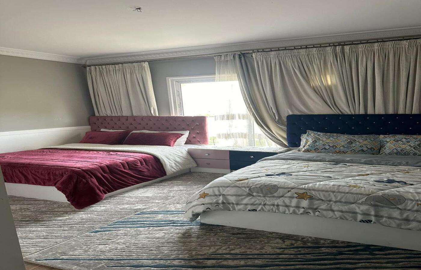 صورة العقار 3