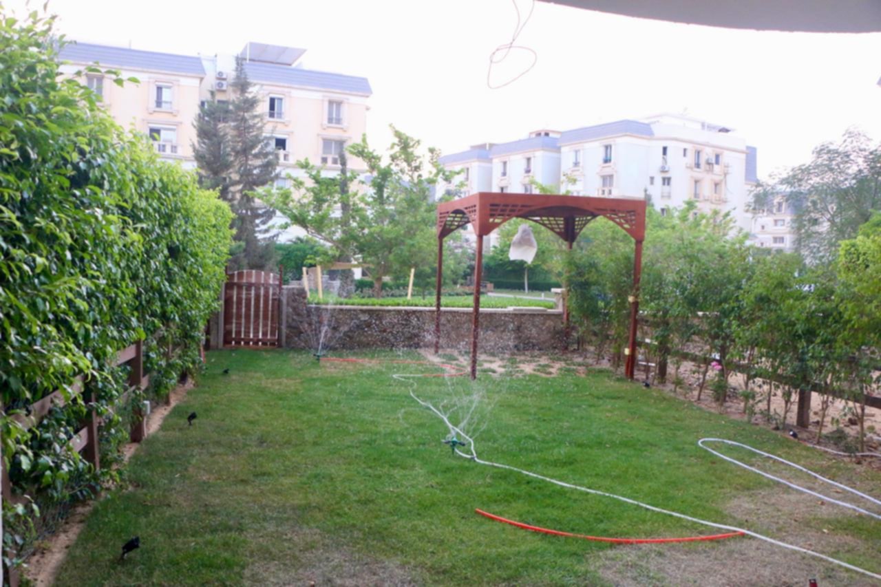 صورة مصغرة 11