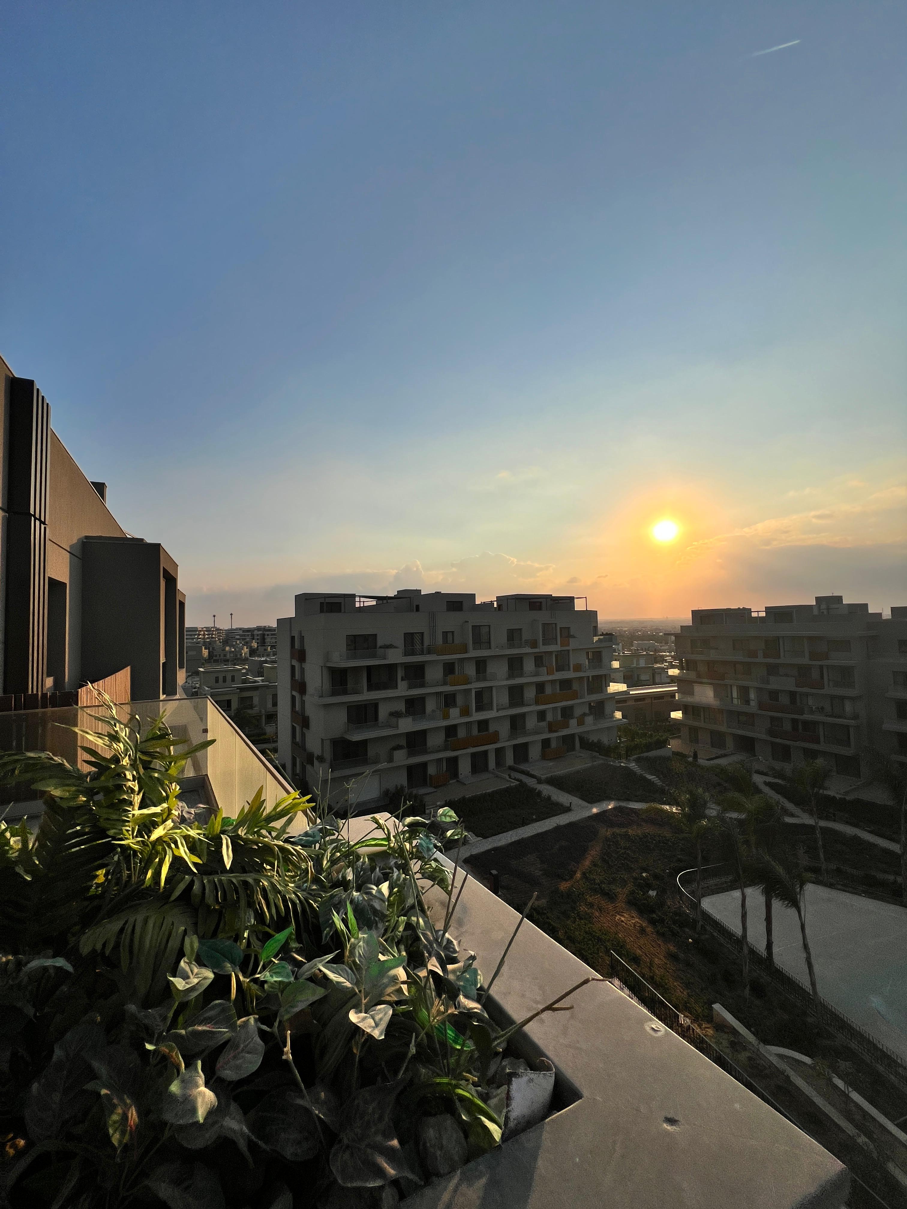 صورة مصغرة 6