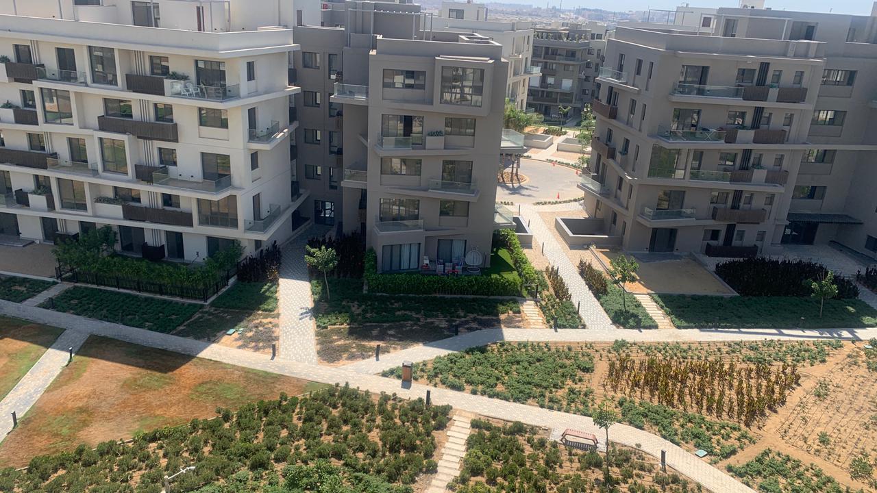 صورة مصغرة 7