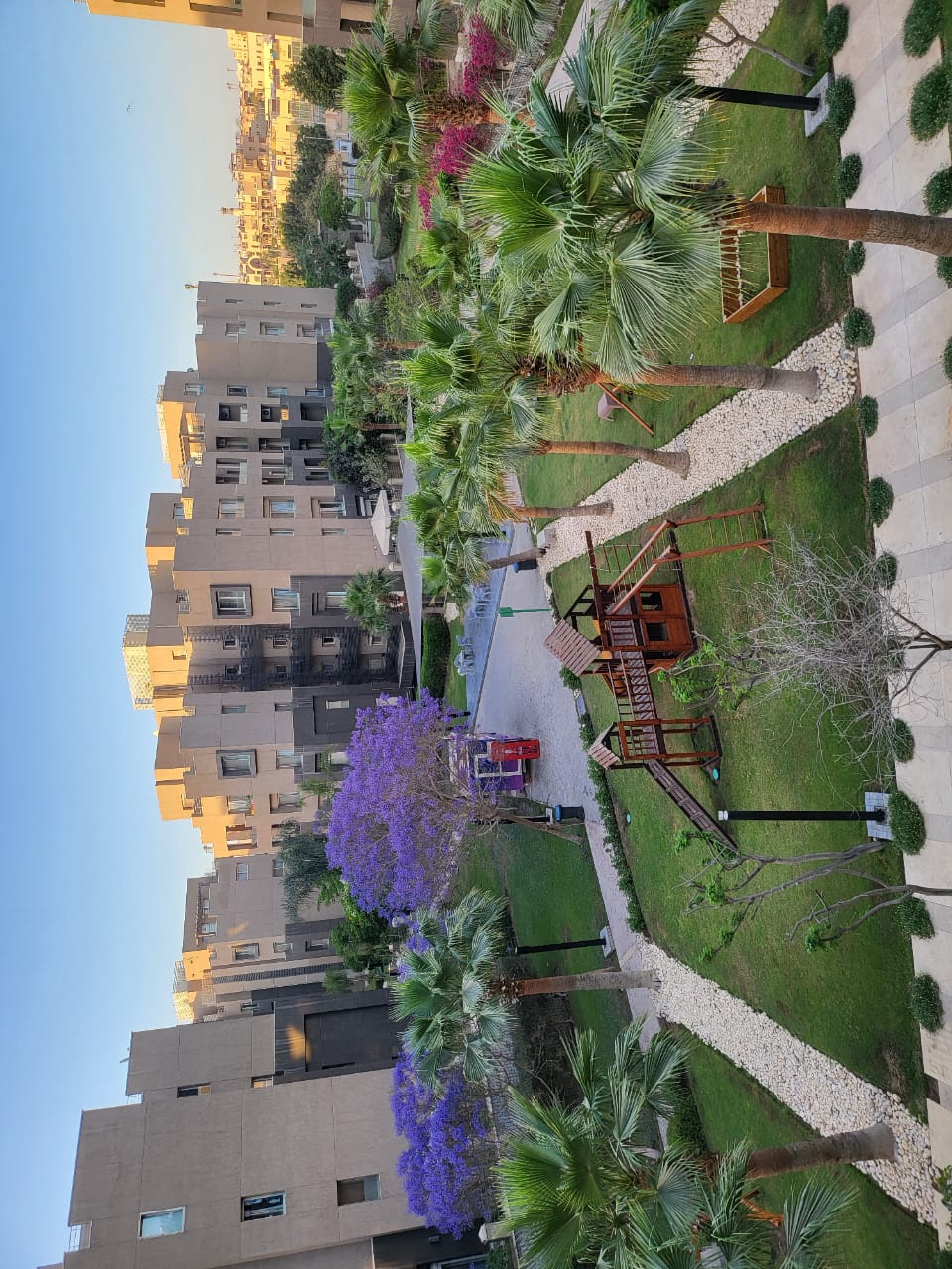 صورة مصغرة 10