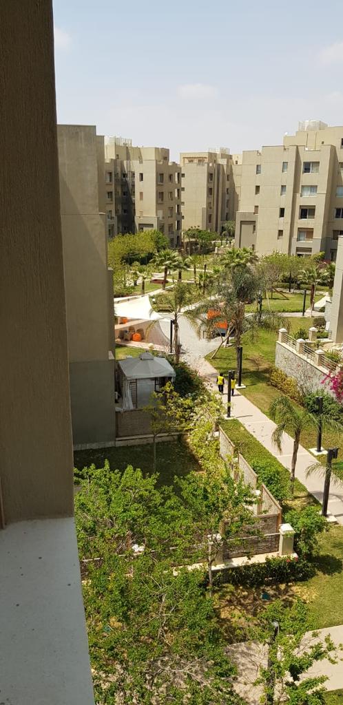 صورة مصغرة 6