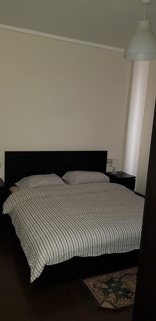 صورة مصغرة 10