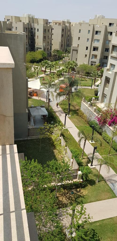 صورة مصغرة 13