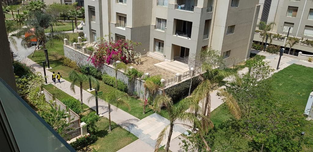 صورة مصغرة 14