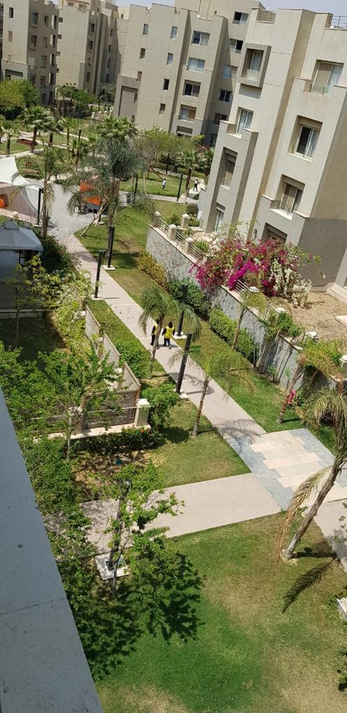 صورة مصغرة 17