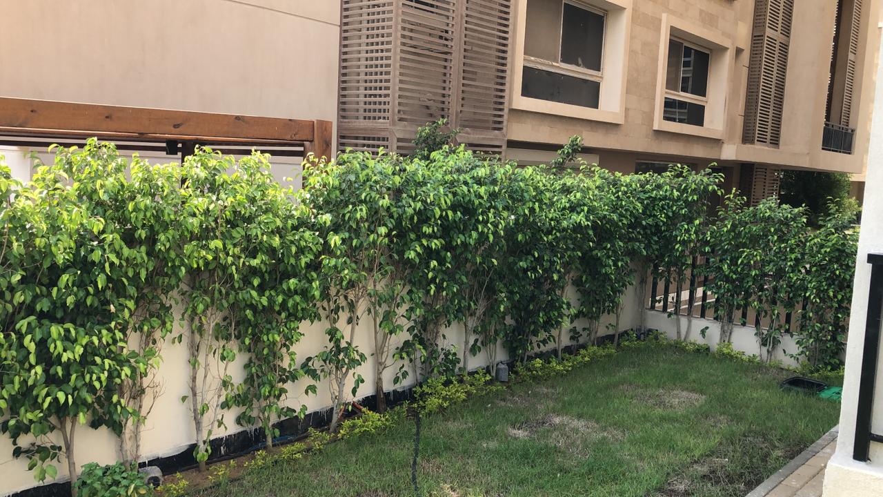 صورة مصغرة 12