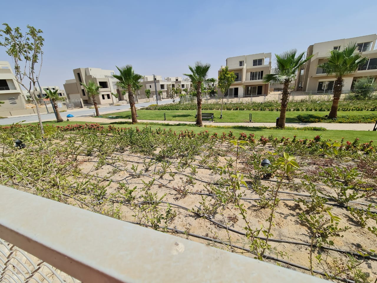 صورة مصغرة 6