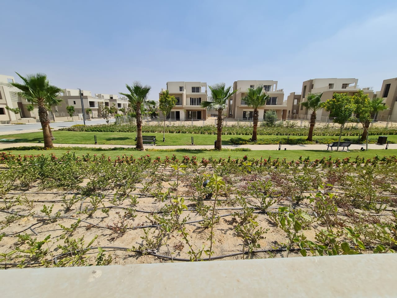 صورة مصغرة 10