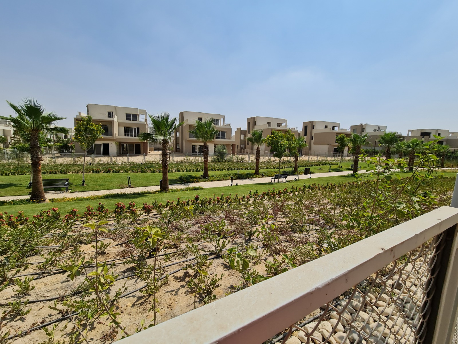 صورة العقار 3