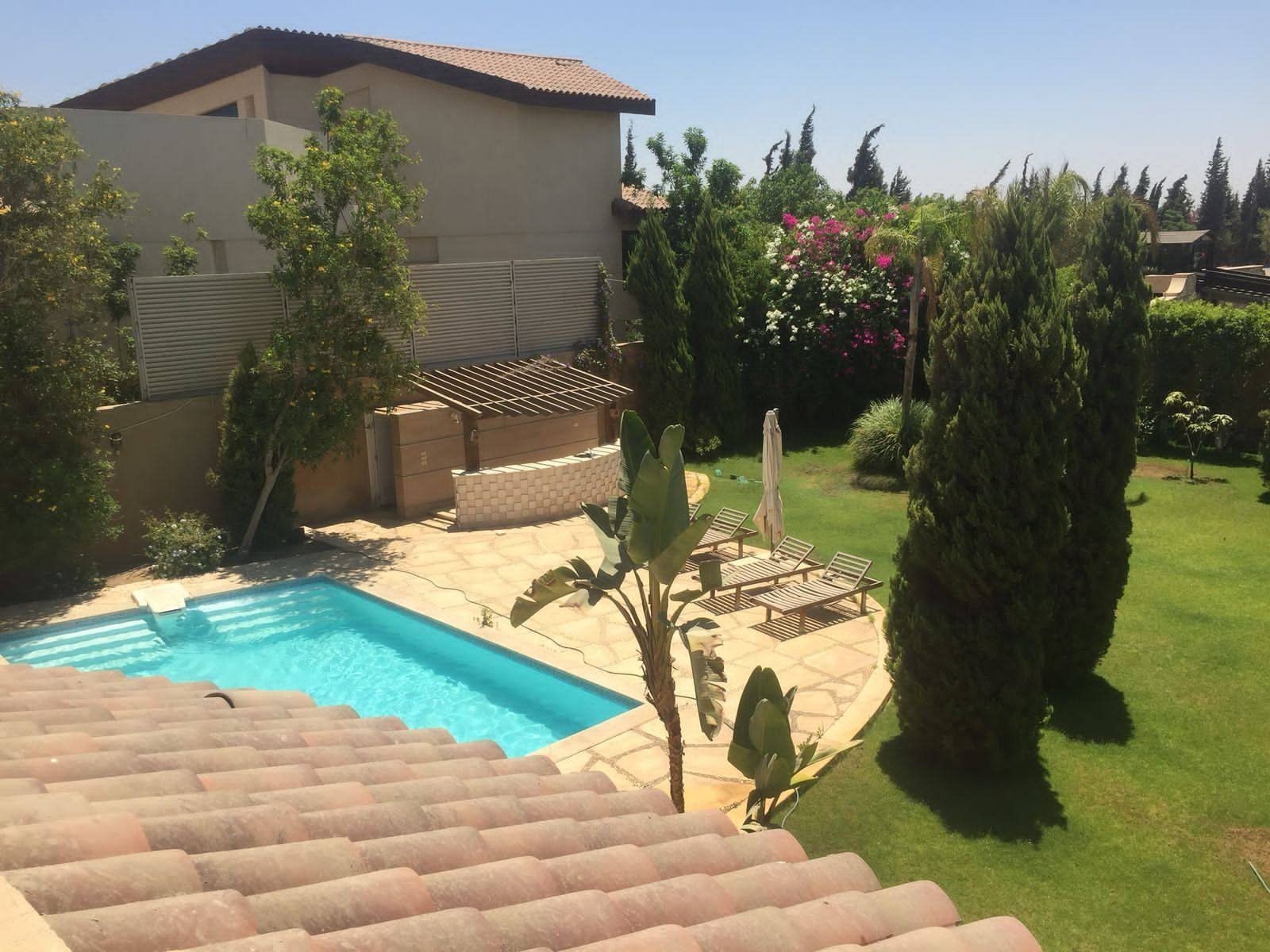 صورة مصغرة 7