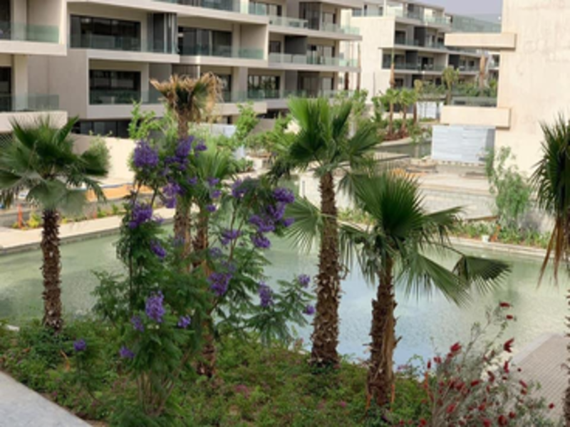 صورة العقار 2