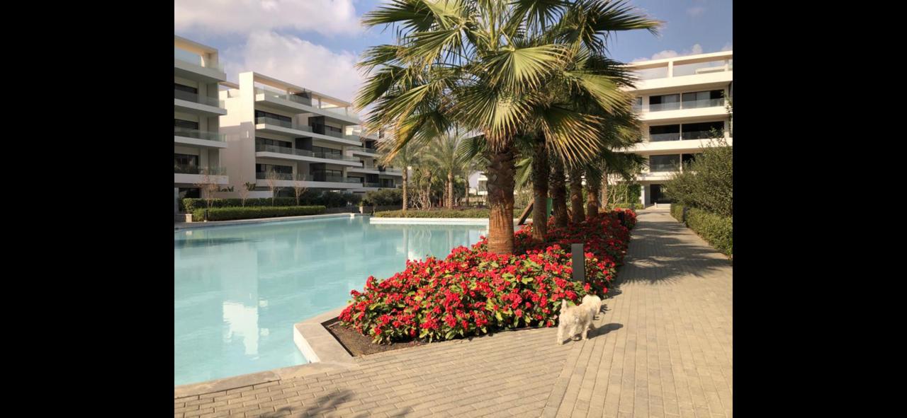 صورة مصغرة 13