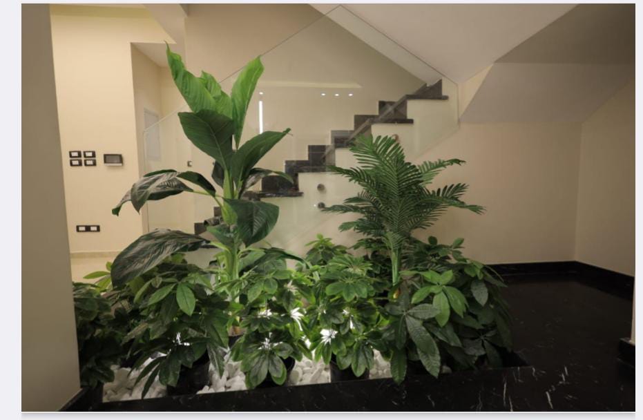 صورة مصغرة 7