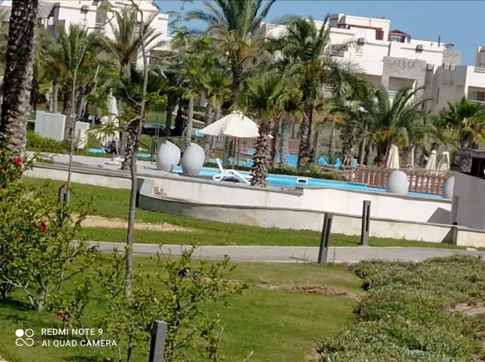 صورة العقار