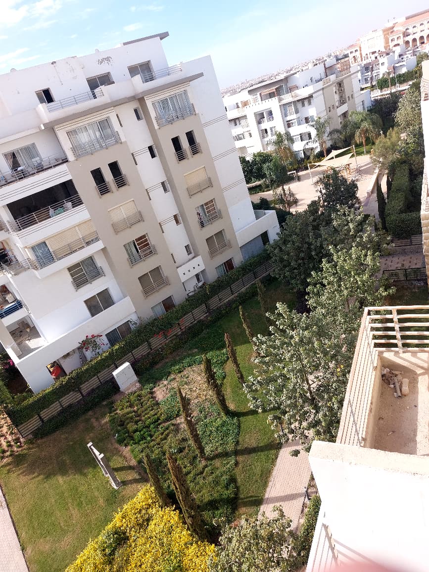 صورة مصغرة 16