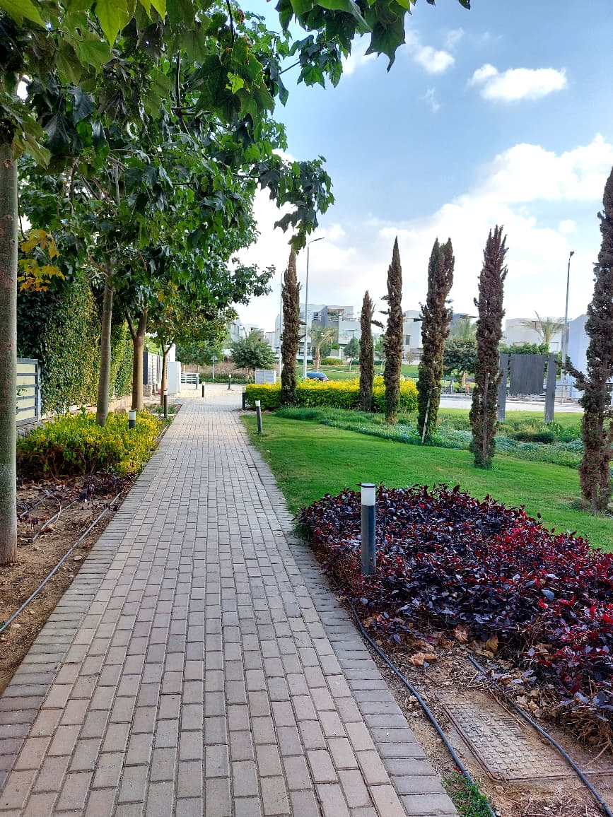 صورة مصغرة 18