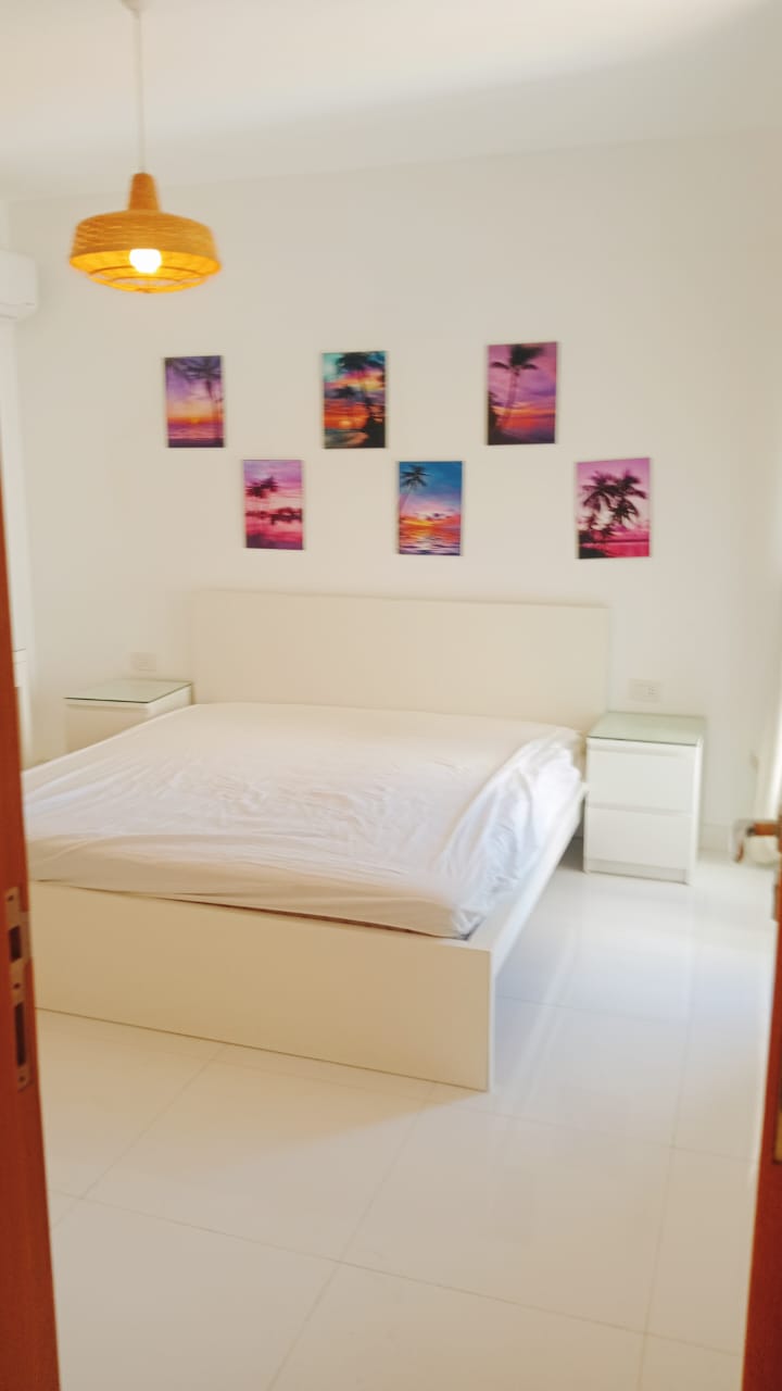 صورة مصغرة 11