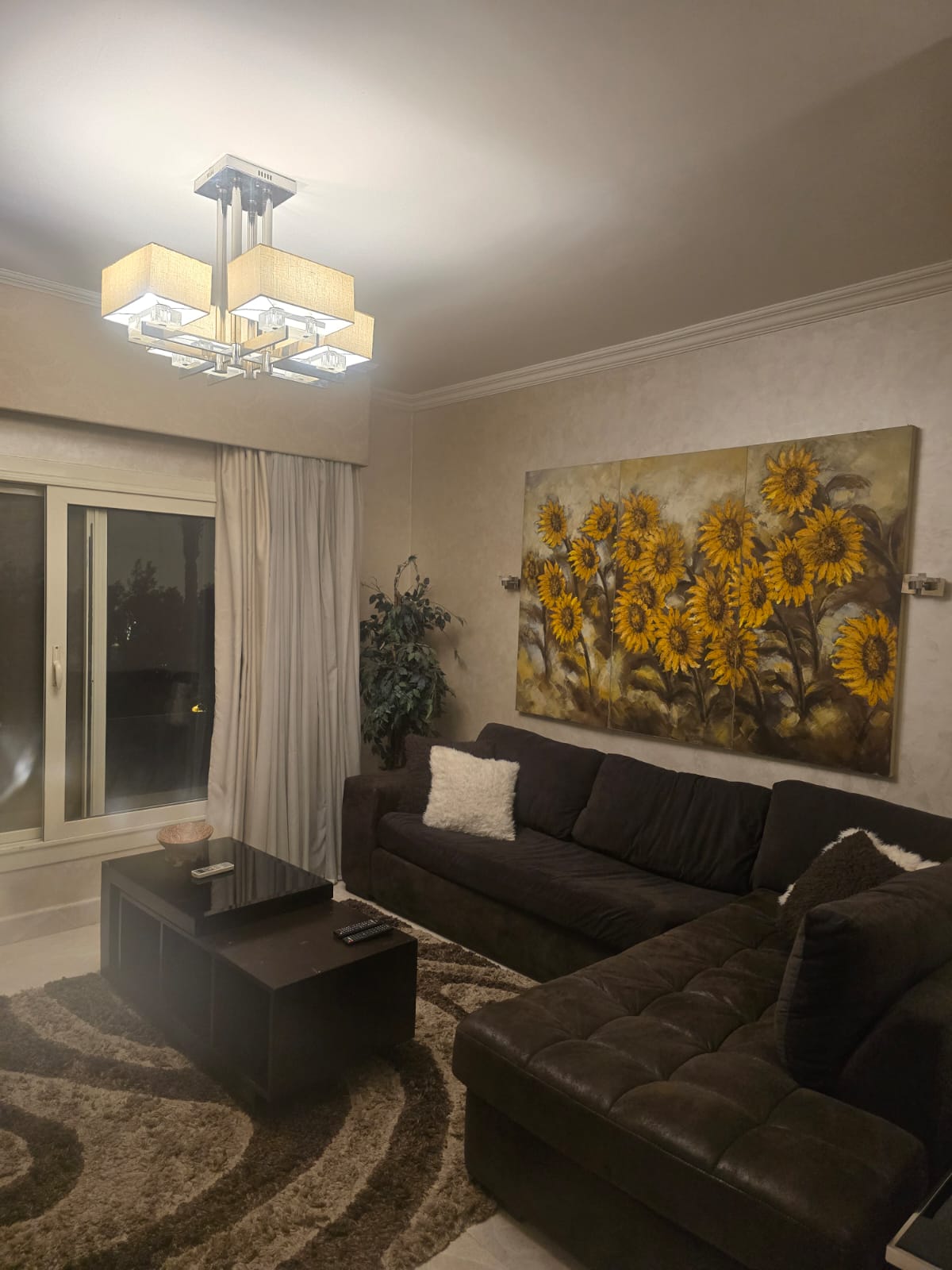 صورة العقار