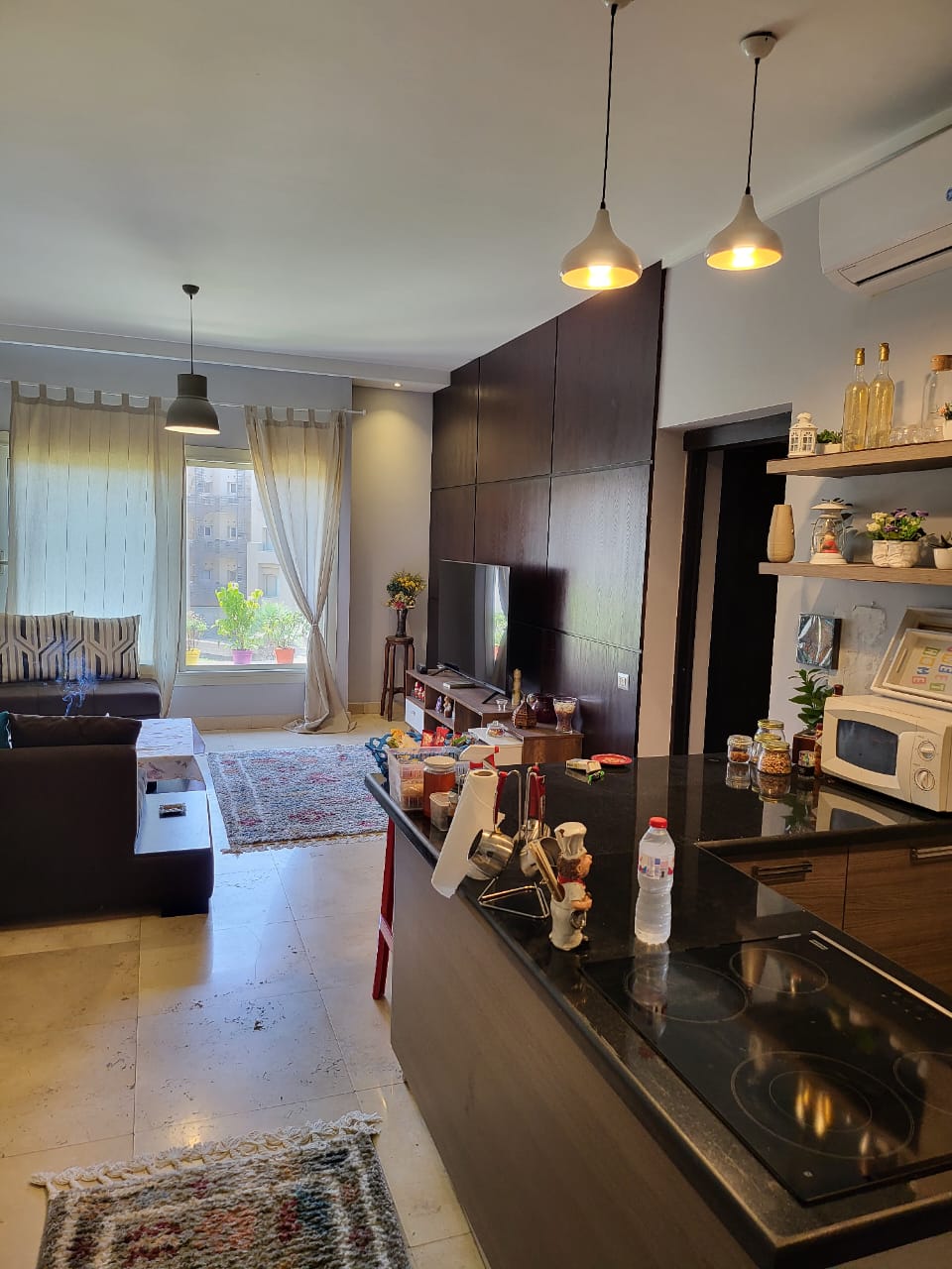 صورة العقار