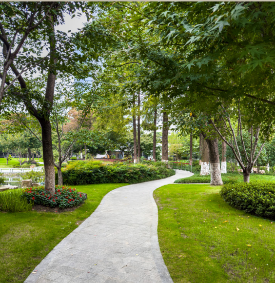 صورة مصغرة 4