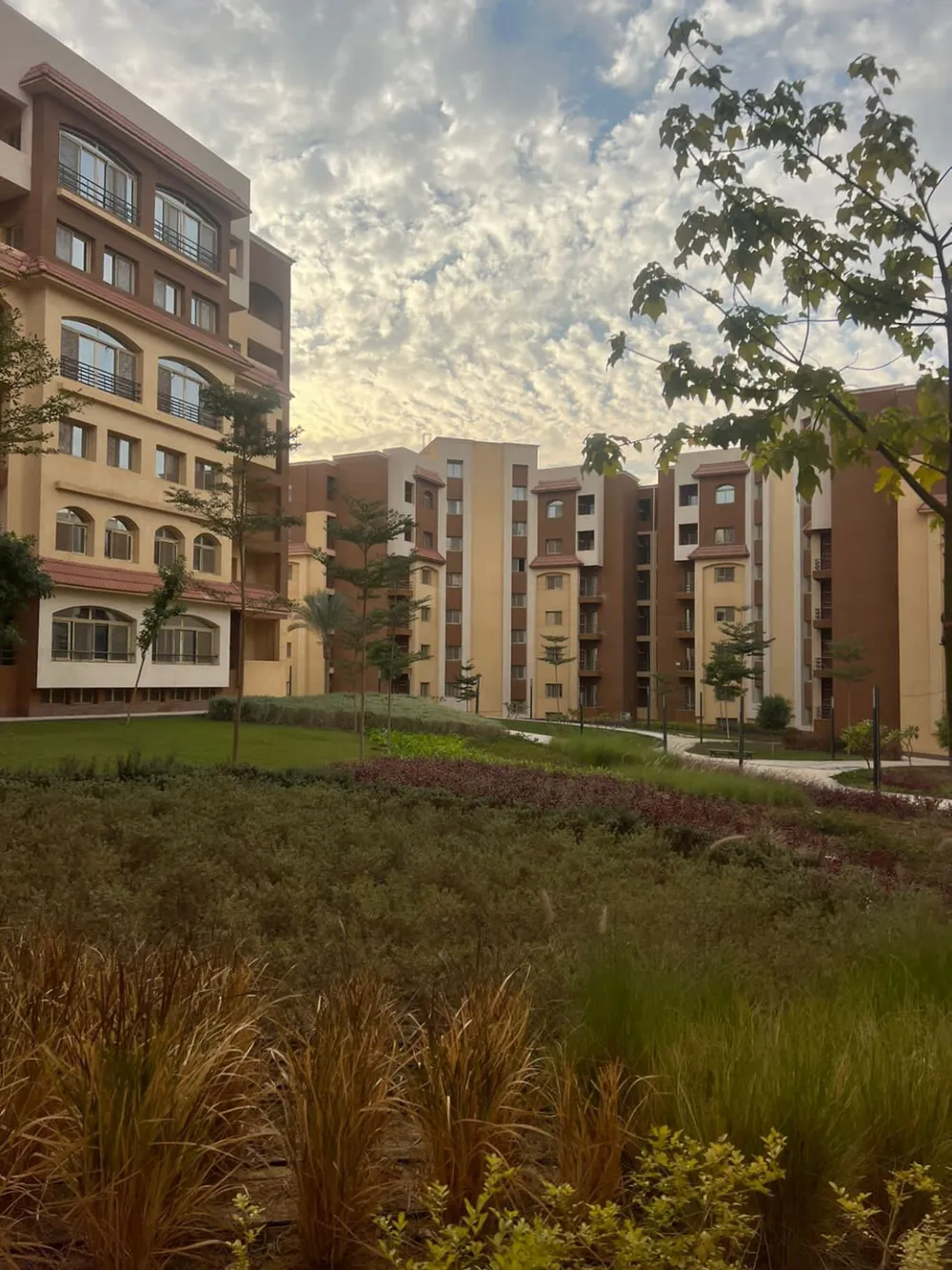 صورة مصغرة 13