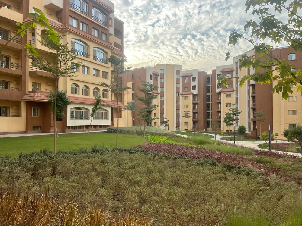 صورة مصغرة 17