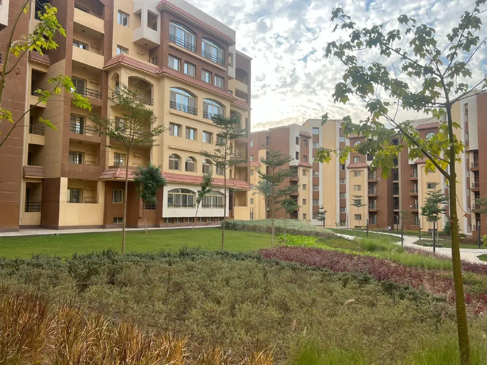 صورة مصغرة 10