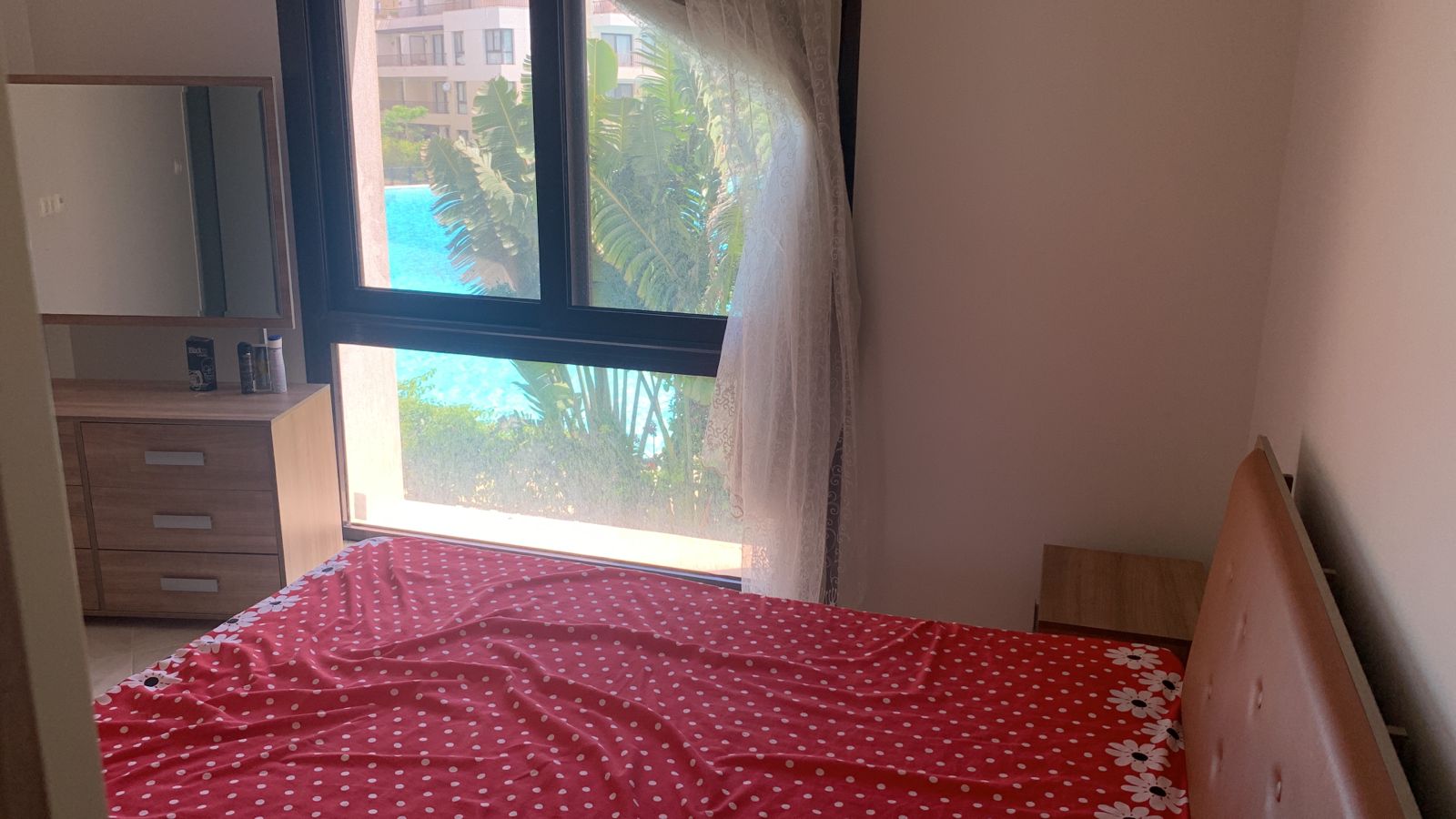 صورة مصغرة 12